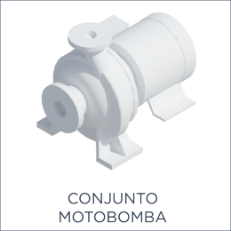 Conjunto Motobomba